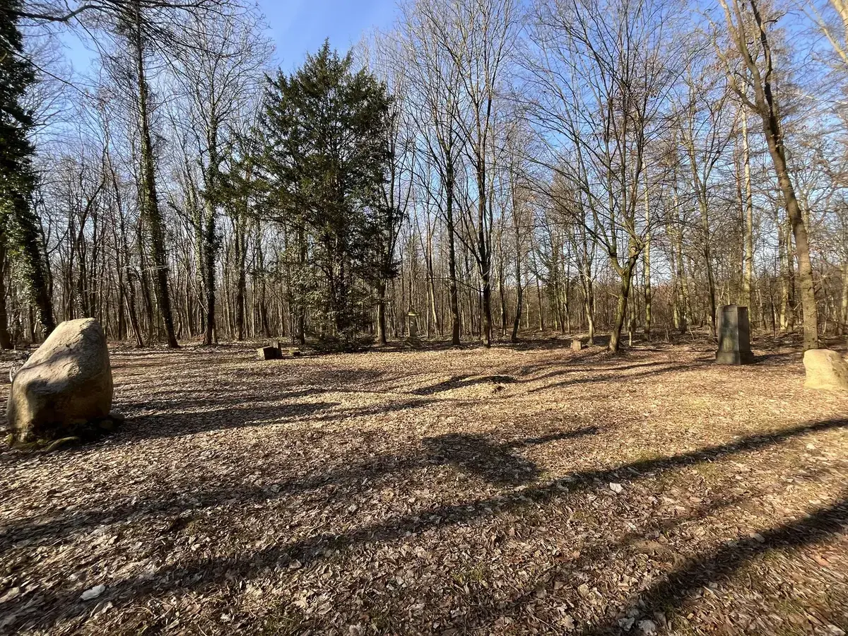 Tło dla: Gaj Wymysłowicki