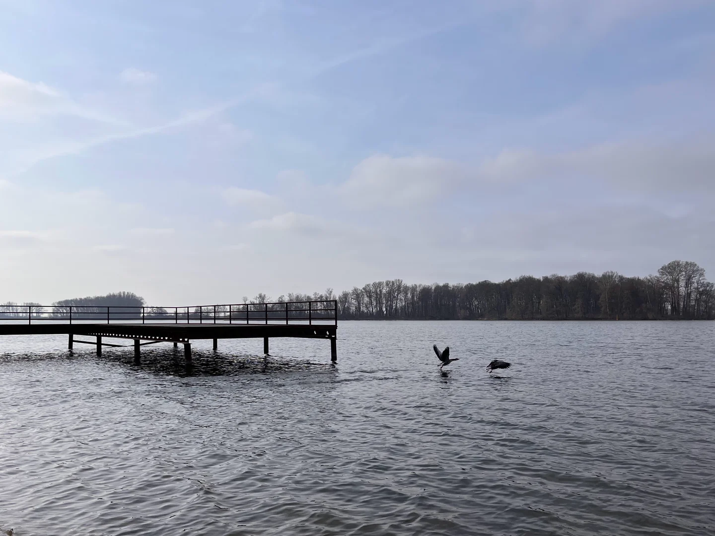 Tło dla: Dzika plaża