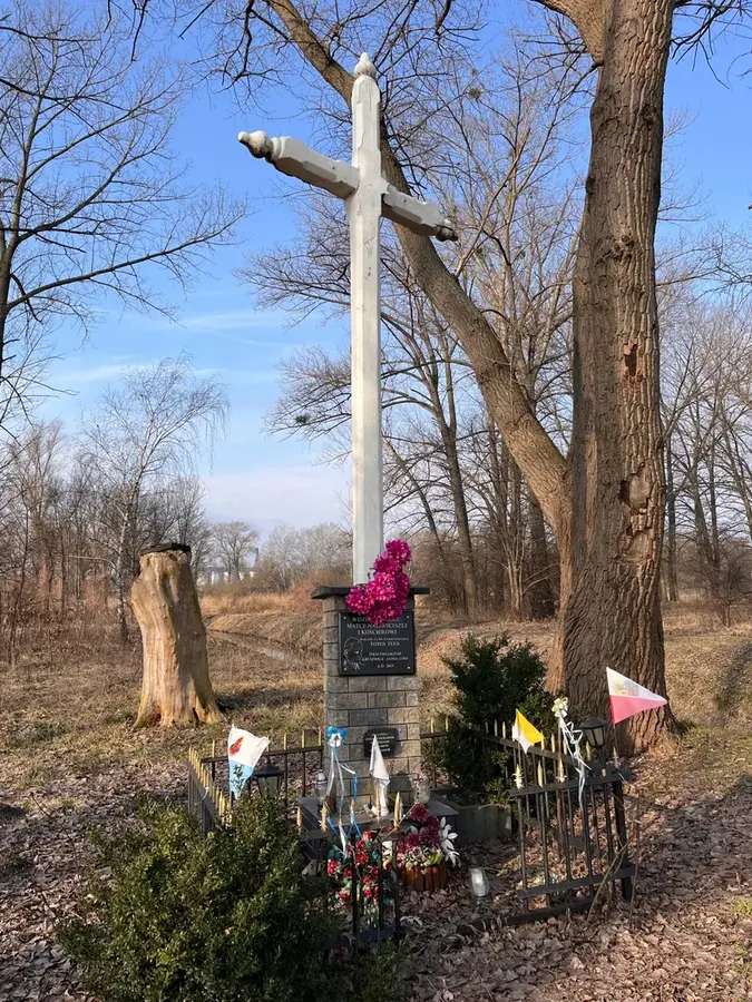 Tło dla: Krzyż przydrożny