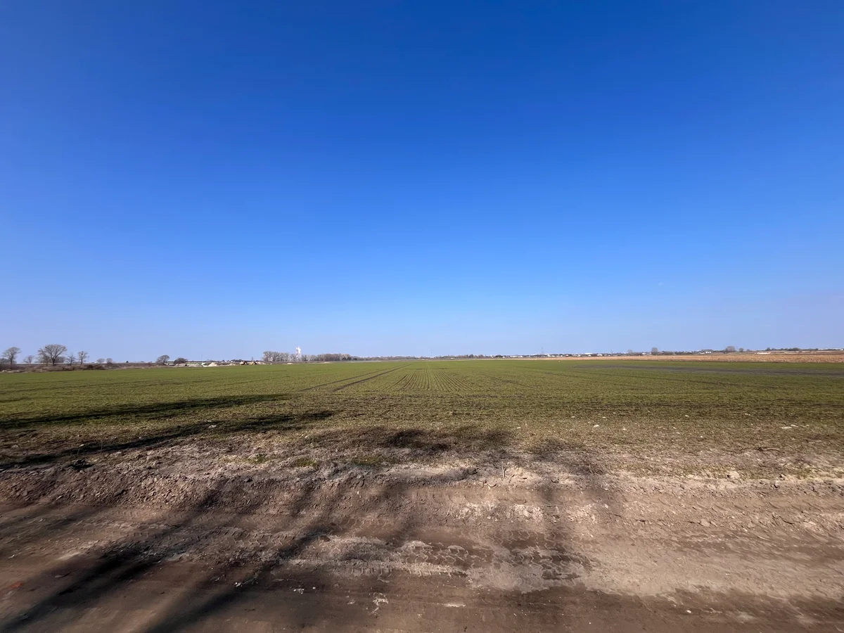 Tło dla: Cienie Megalitów